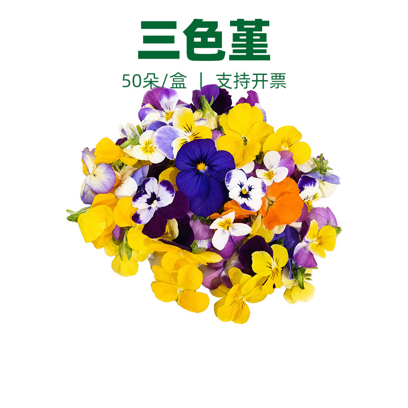 三色堇可食用鲜花花草摆盘装饰