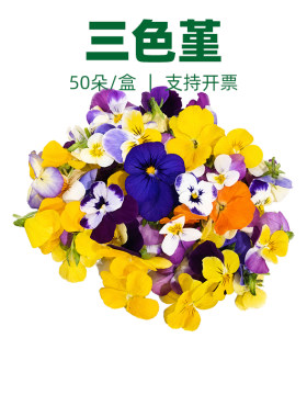 三色堇可食用鲜花花草摆盘装饰