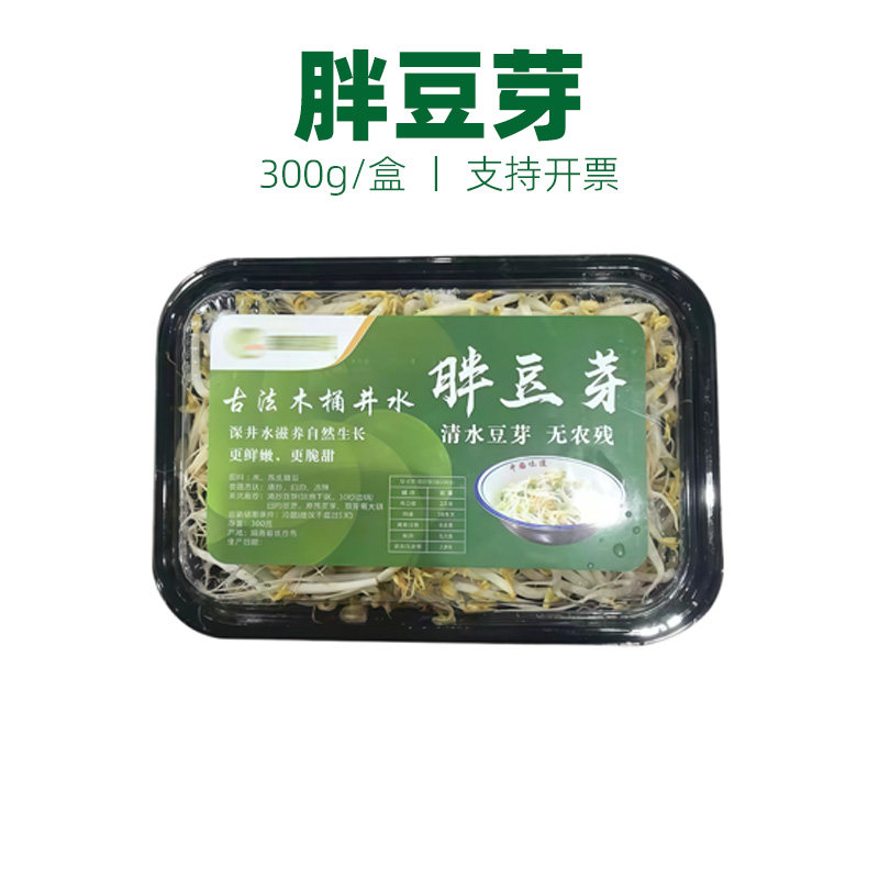 新鲜胖豆芽古法木桶井水绿豆芽零添加无农残湘菜超脆嫩豆芽