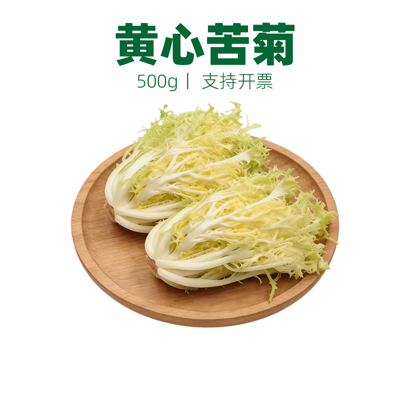黄心苦菊削叶苦叶生菜苦苣九芽