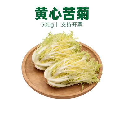 黄心苦菊削叶苦叶生菜苦苣九芽