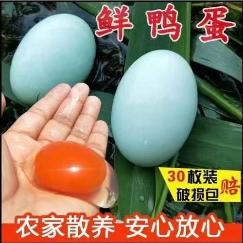 农家新鲜生鸭蛋40-50g破损包赔