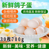 鸽子蛋30枚700g新鲜农家五谷杂粮散养土鸽蛋孕妇宝宝营养辅食 包邮