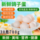 鸽子蛋30枚700g新鲜农家五谷杂粮散养土鸽蛋孕妇宝宝营养辅食 包邮