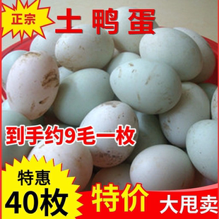 正宗散养土鸭蛋整箱40枚鸭蛋65g新鲜农家生鸭蛋可腌咸鸭蛋松花蛋
