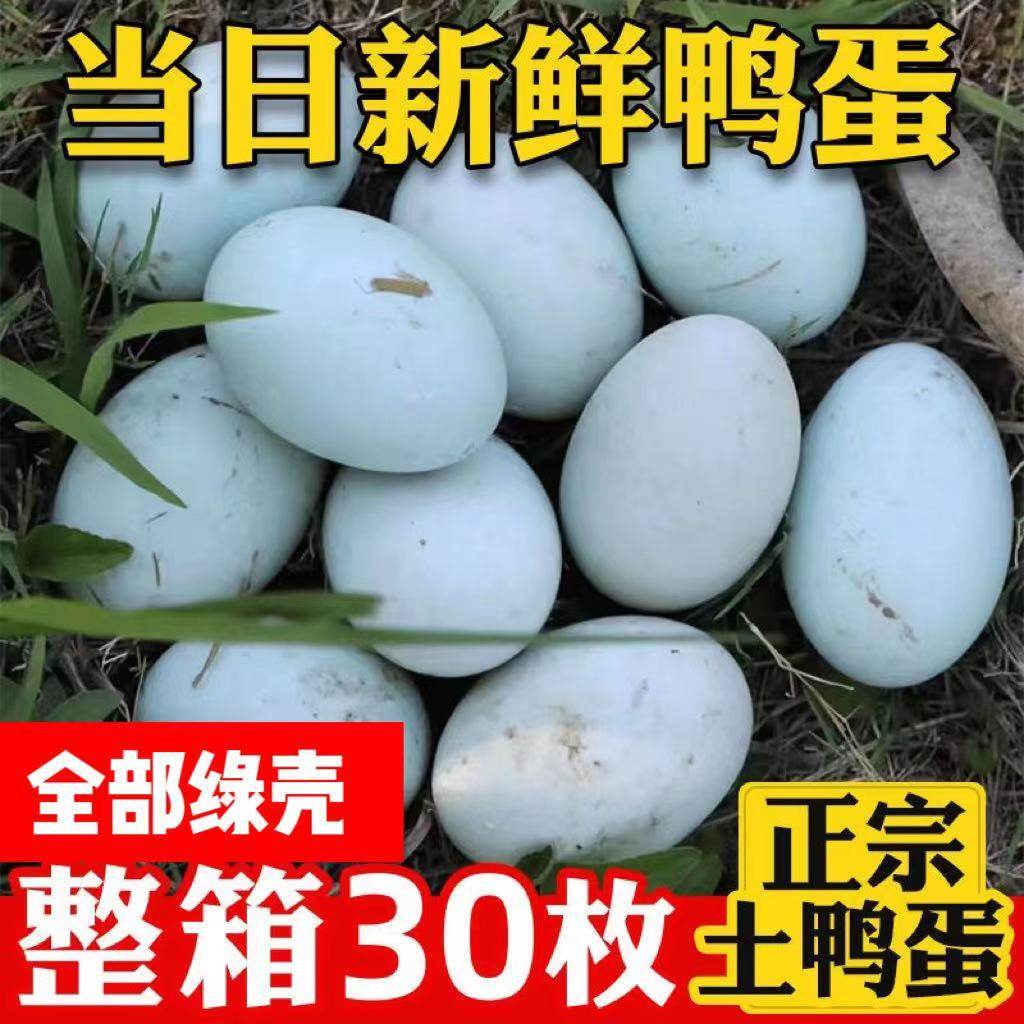 正宗农家散养新鲜鸭蛋破损包赔
