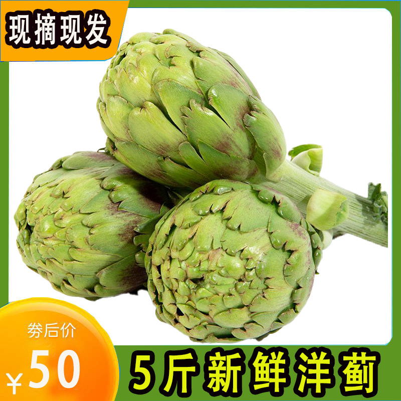 云南特产朝鲜蓟5斤绿色农家洋蓟新鲜法国百合西餐蔬菜新鲜当季