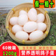 新鲜鸽子蛋60枚1260g散养信鸽土鸽蛋孕妇宝宝辅食农家五谷喂养