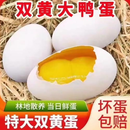 新鲜双黄生鸭蛋现捡现发破损包赔