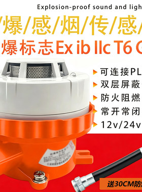 485防爆烟雾感应报警器
