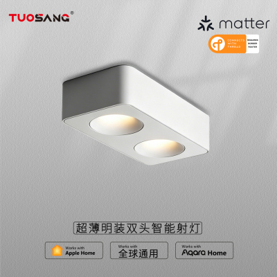Matter Thread智能Homekit超薄双头明装筒灯斗胆灯绿米Aqara射灯