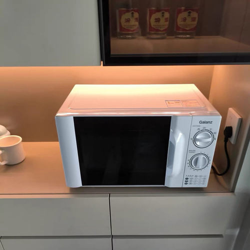 20l微波炉格兰仕转盘式