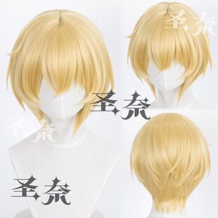 【圣奈】埃癸斯 女神异闻录3 造型款cos假发 中分头皮顶 200g