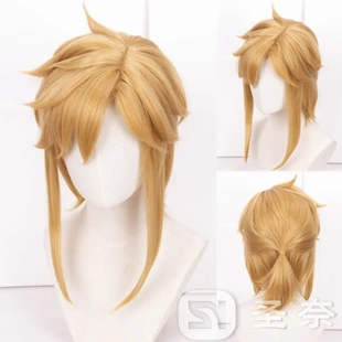 【圣奈】林克 塞尔达传说荒野之息造型款cos假发仿真顶