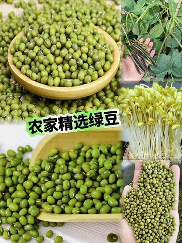 农家无添加精选营养绿豆