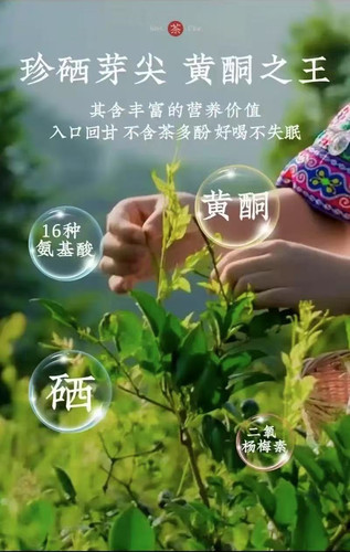 湘西凤凰霉茶原产地牙尖茶养生茶霉茶正品