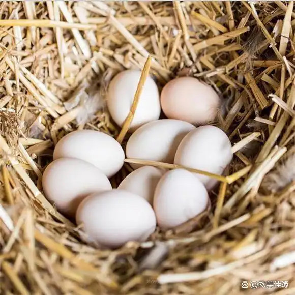 湘西农家散养土鸡蛋,水产肉类/新鲜蔬果/熟食,鸡蛋,淘宝优惠券,粉丝福利购,淘宝优惠卷