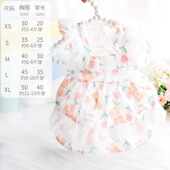 清 比熊女仆裙 郁金香小熊洛丽塔裙