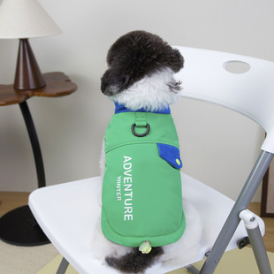 泰迪棉服背心比熊外套夹克衫 三件 帅气运动马甲 25秋冬DB 包邮