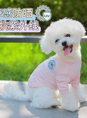 清！冰冰冰爽感拉满带防晒指数的狗狗凉凉T恤