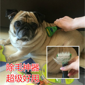 包邮巴哥掉毛法斗清洁毛发神奇刷宠物狗狗钢梳长短毛犬用梳子