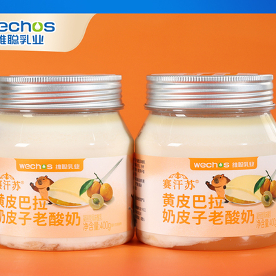 赛汗苏黄皮巴拉 奶皮子老酸奶400g蒙古特产零添加草原酸奶内蒙古