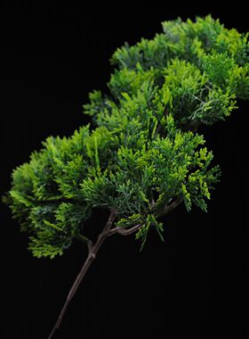 仿真加密崖柏盆景造型塑料假叶子