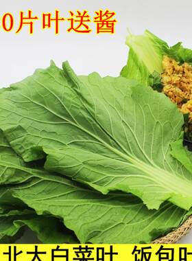辽宁打大绿白菜东北饭店嫩叶包邮叶菜类蔬菜蔬菜当季饭包白菜叶