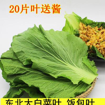 辽宁打大绿白菜东北饭店嫩叶包邮叶菜类蔬菜蔬菜当季饭包白菜叶