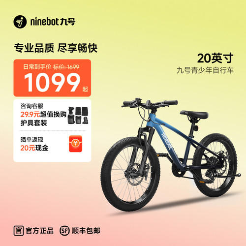 Ninebot九号20英寸青少年自行车