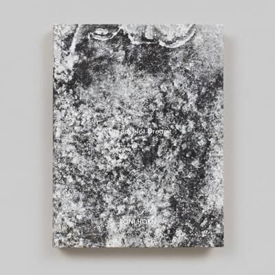 预售 Roni Horn: A Dream Not Dreamt Steidl 英文进口原版摄影画册 华源时空