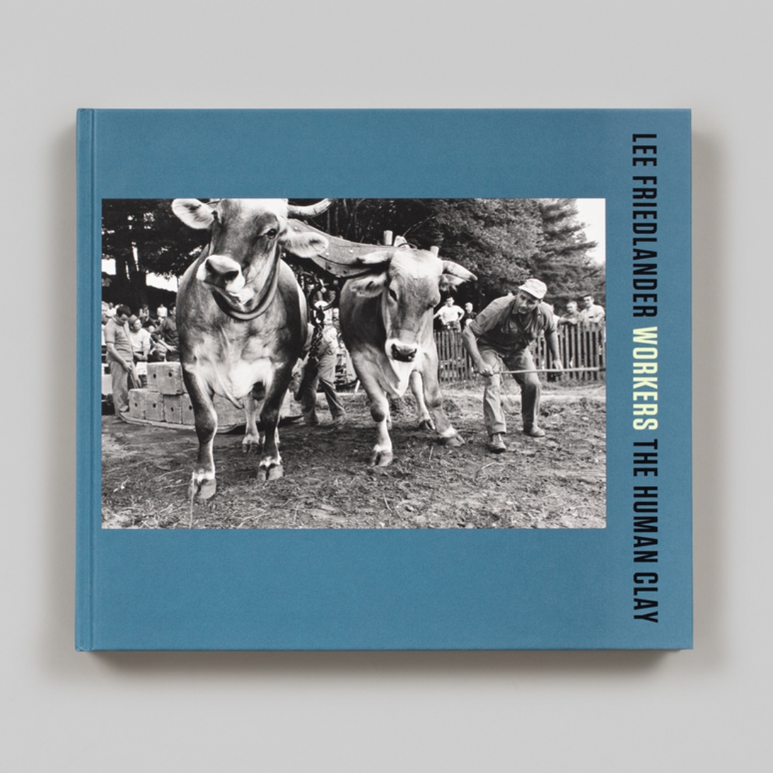 李·弗里德兰德：工人：人类粘土