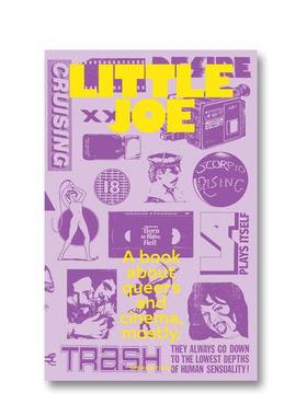 预售 Sam Ashby Little Joe: A Book About Queers And Cinema Mostly