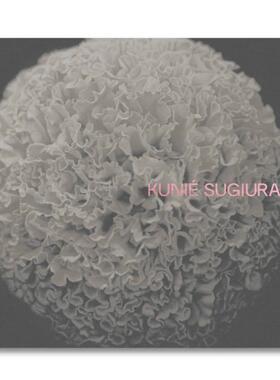 预售 Kunie Sugiura Erin O'Toole 英文进口原版图书摄影画册 MACK 华源时空