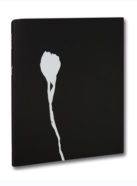 预售 Nausea Ron Jude原版艺术摄影书籍 艺术摄影 华源时空