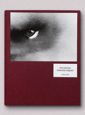 预售 Sebastião Salgado Des oiseaux 英文进口原版摄影画册