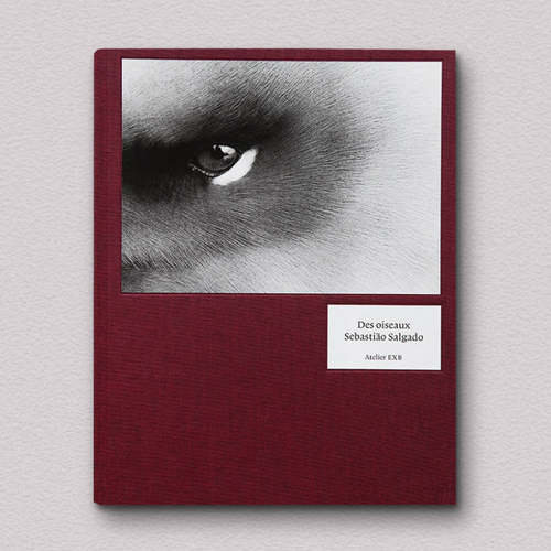 预售 Sebastião Salgado Des oiseaux 英文进口原版摄影画册