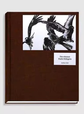 预售 Paolo Pellegrin Des Oiseaux 英文原版进口摄影画册 华源时空
