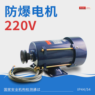 220V380V 0.75KW防爆加油机单相电机铜芯卧式 大功率电机四级防爆