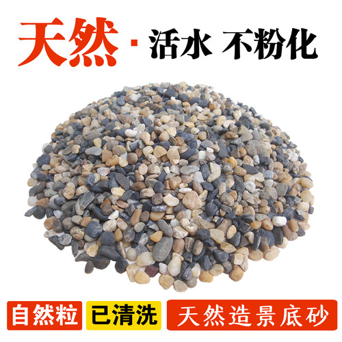 天然鹅卵石豆石石鱼缸造景小石子