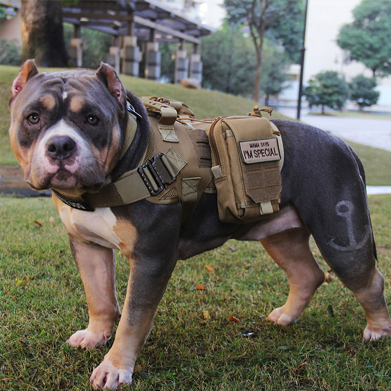 大狗衣服背心马甲背包战术马犬