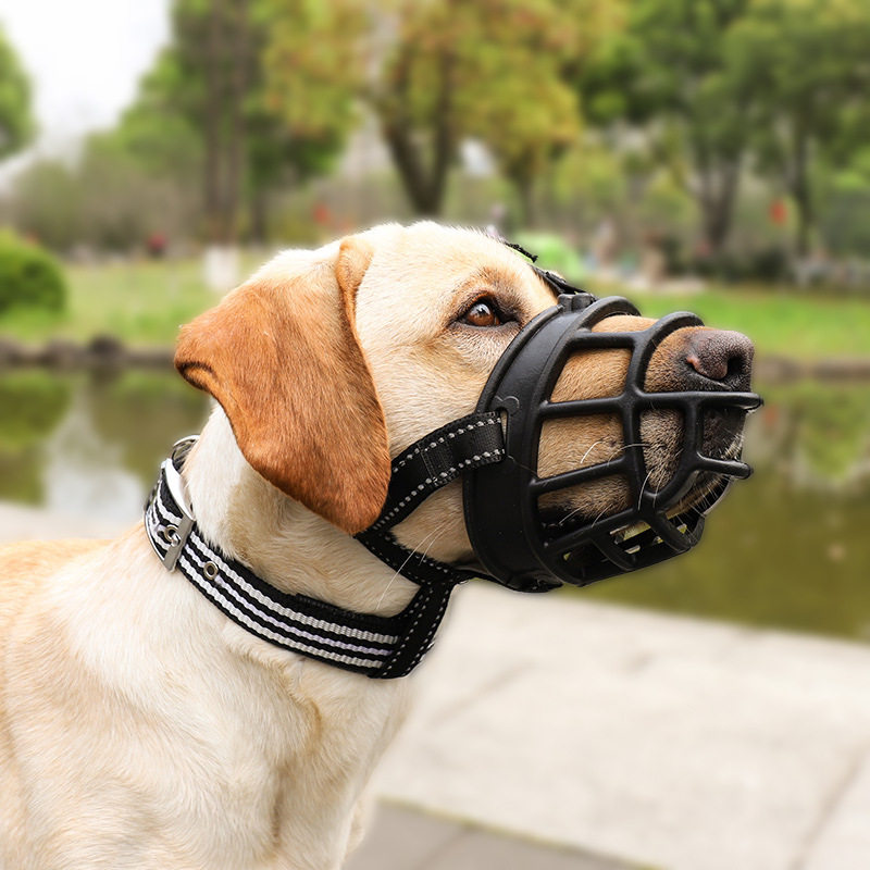中大型犬口笼拉布拉多金毛口罩