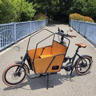 两轮cargo bike助力自行车中置电机货运自行车亲子车宠物车