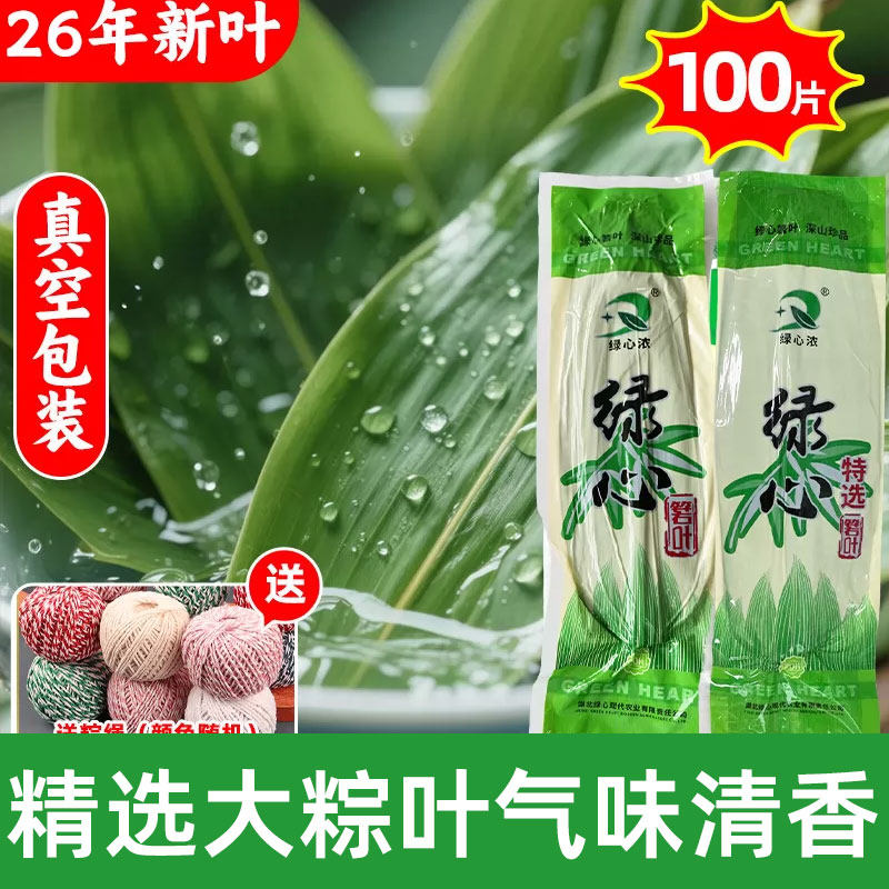 大号粽叶粽子叶专用新鲜特大棕叶种子竹叶干箬叶芦苇包粽叶子真空