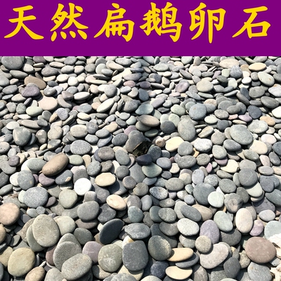 天然鹅卵石扁平贴墙铺路贴鱼池