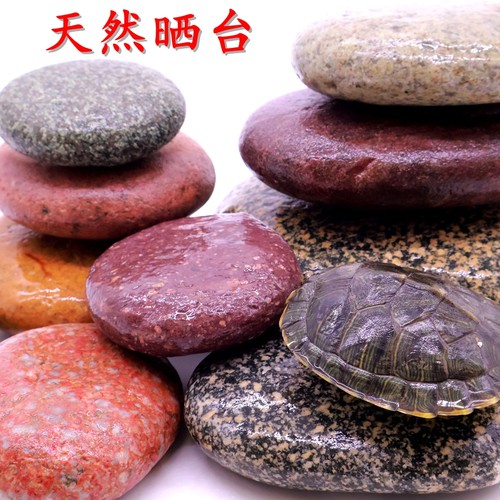 天然乌龟晒台石头爬宠造景