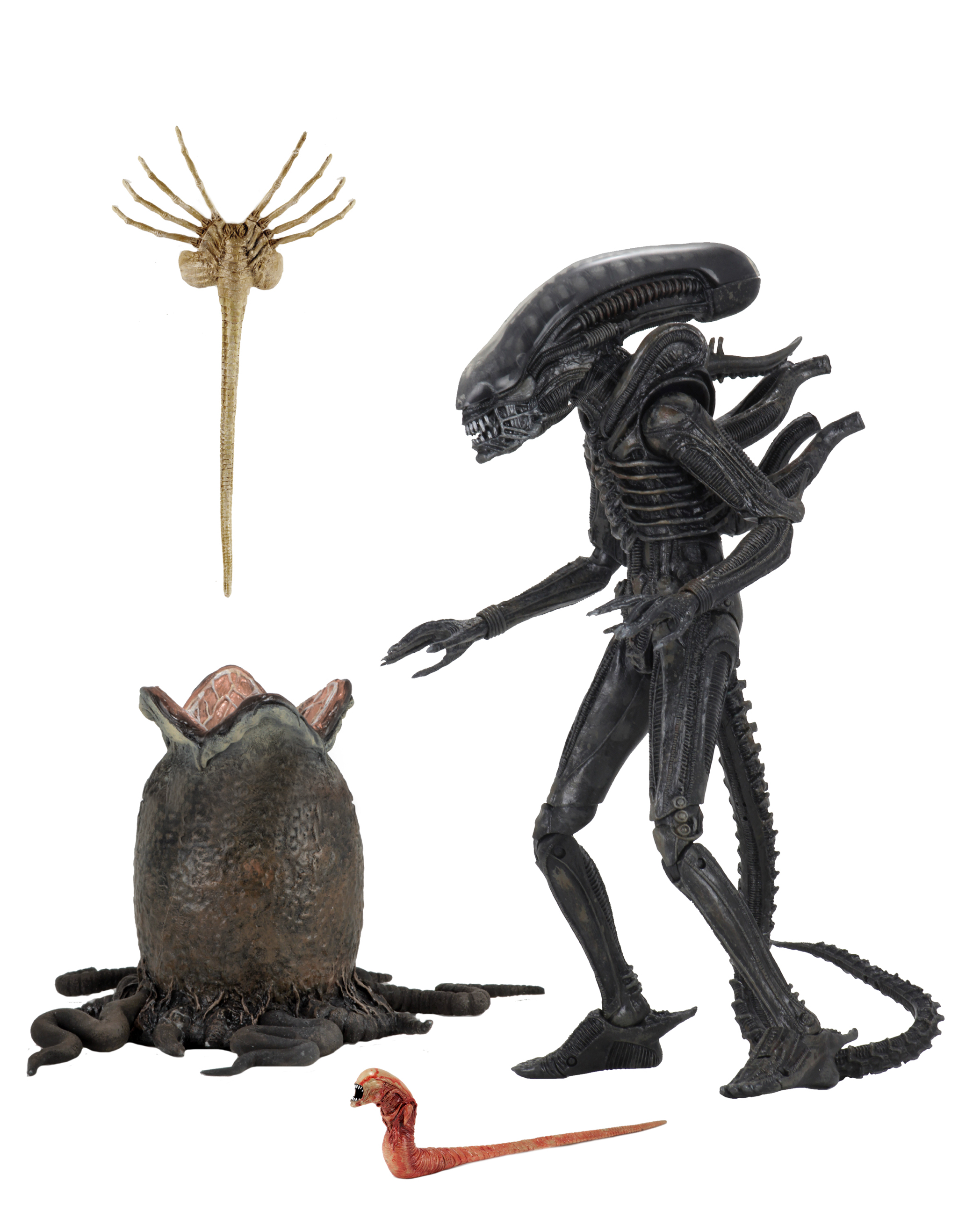 现货【代购】NECA 异形 Alien 40周年豪华版 A1 可动模型手办正版