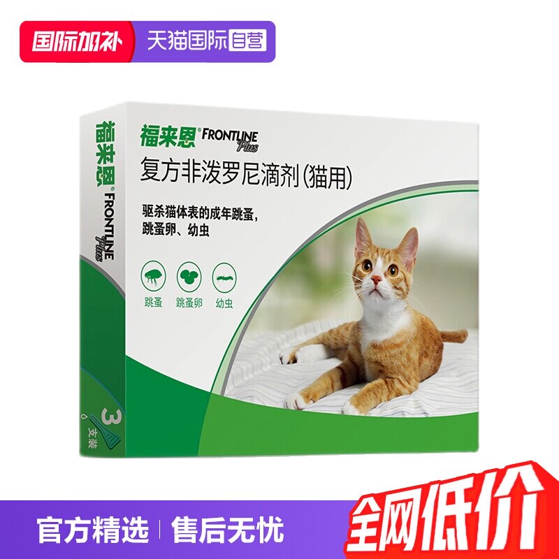 直营福来恩法国福来恩猫