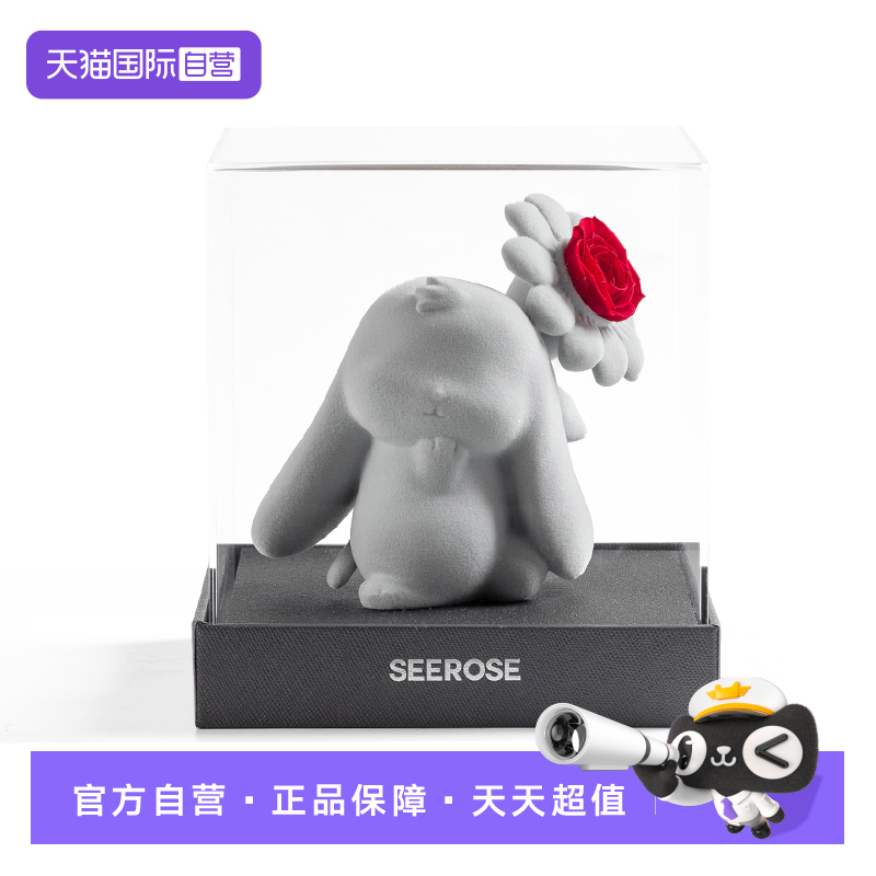 SEEROSE永生花创意生日礼物