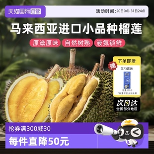 自营 市舶士马来西亚小品种葫芦红肉榴莲液氮冷冻整果